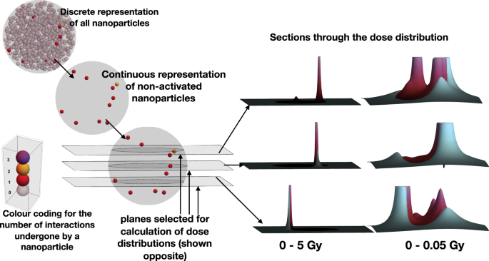 Physical Radiation Enhancement Effects Around Clinically Relevant Clusters Of Nanoagents In Biological Systems Scientific Reports