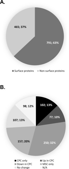 Molecular phenotyping of the surfaceome of migratory chondroprogenitors and mesenchymal stem cells using biotinylation, glycocapture and quantitative 