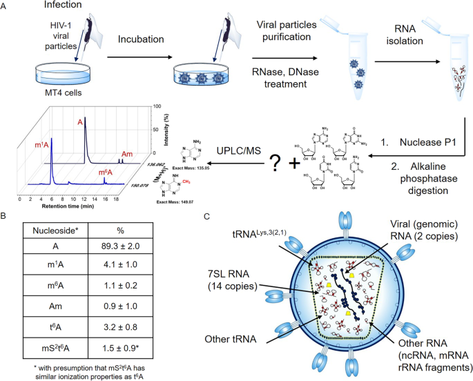 Lc Ms Analysis And Deep Sequencing Reveal The Accurate Rna Composition In The Hiv 1 Virion Scientific Reports