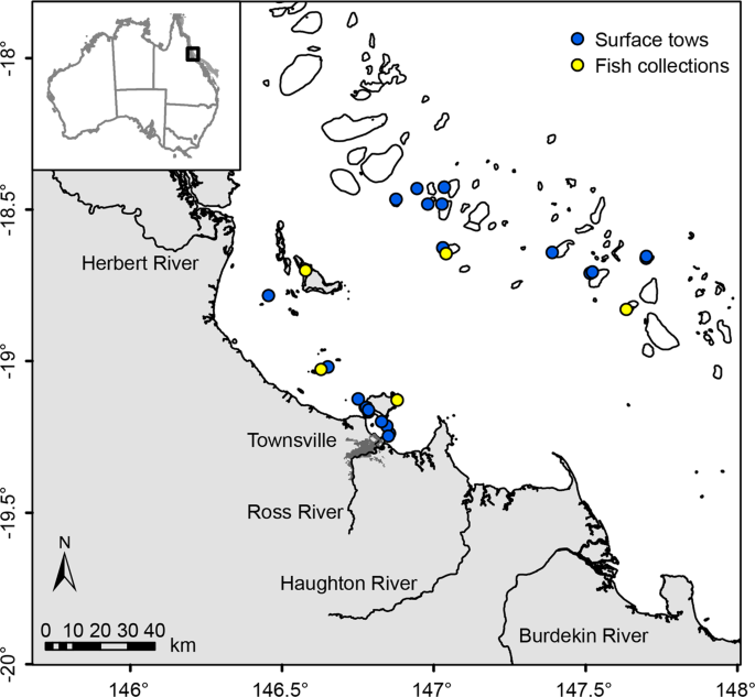 REEF Technology Raises Big Funds As Parking Lots Show Distress Signs