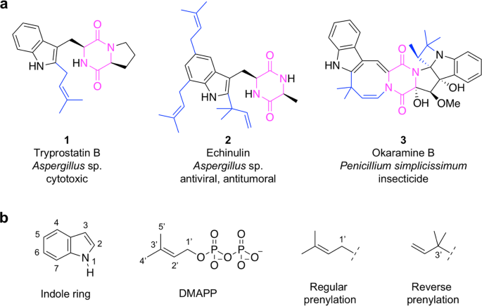 A Short Synthesis of the Bacterial Pigments Violacein and ...