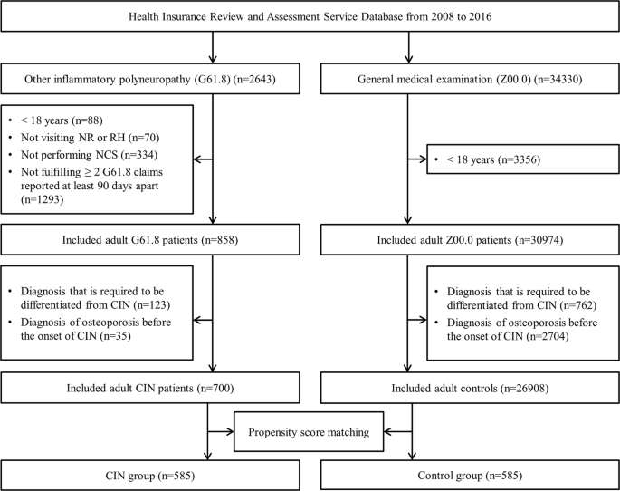 Osteoporosis Pathophysiology Flow Chart