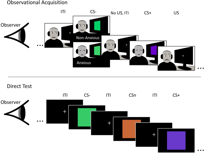 Anxious Behaviour In A Demonstrator Affects Observational Learning Scientific Reports Anxious Behaviour In A Demonstrator Affects Observational Learning Scientific Reports