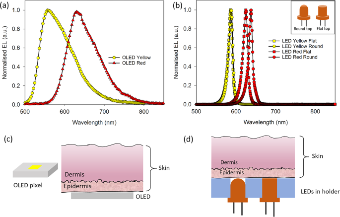 Spectral changes associated with transmission of OLED emission through  human skin | Scientific Reports