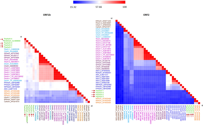bioedit sequence identity matrix bioedit sequence identity matrix