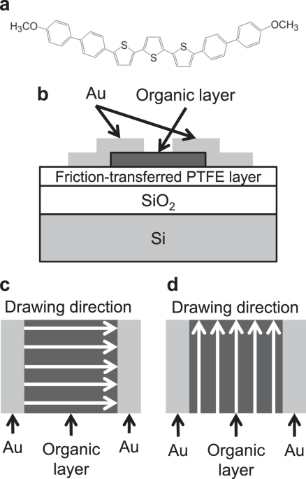feature-image