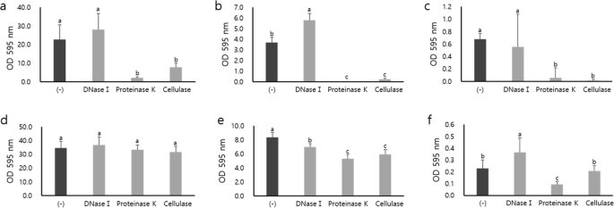 Bio Enzymes For Inhibition And Elimination Of Escherichia Coli O157 H7 Biofilm And Their Synergistic Effect With Sodium Hypochlorite Scientific Reports