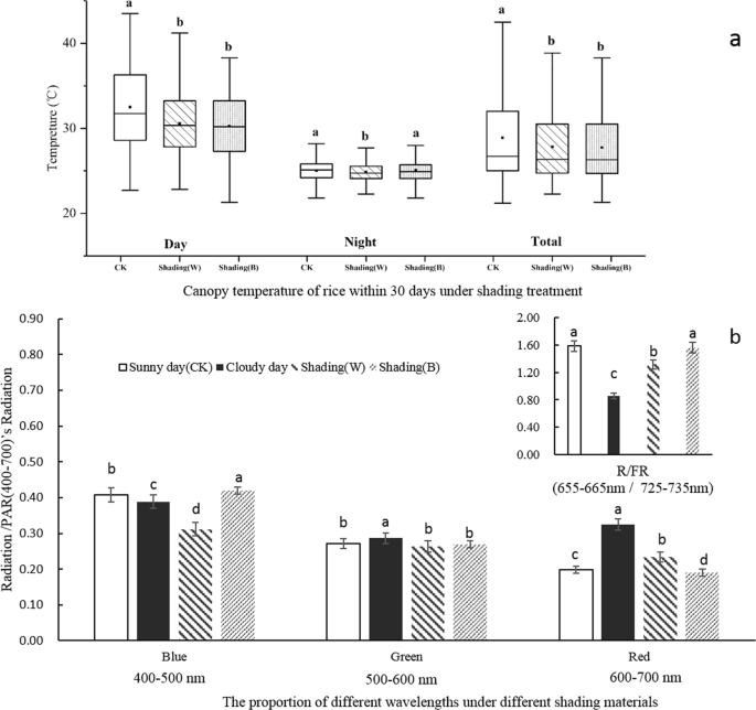 Effect Of Different Shading Materials On Grain Yield And Quality Of Rice Scientific Reports Effect Of Different Shading Materials On Grain Yield And Quality Of Rice Scientific Reports