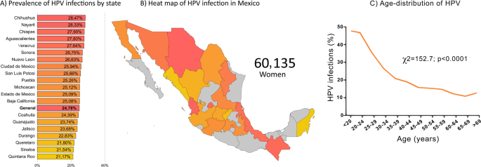 VIRUSUL HPV: mod de transmitere, simptome, preventie si tratament -, Hpv high risk by pcr