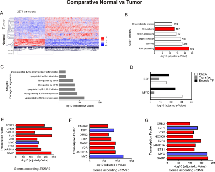 Gene Expression Analyses In Non Muscle Invasive Bladder Cancer Reveals A Role For Alternative Splicing And Tp53 Status Scientific Reports