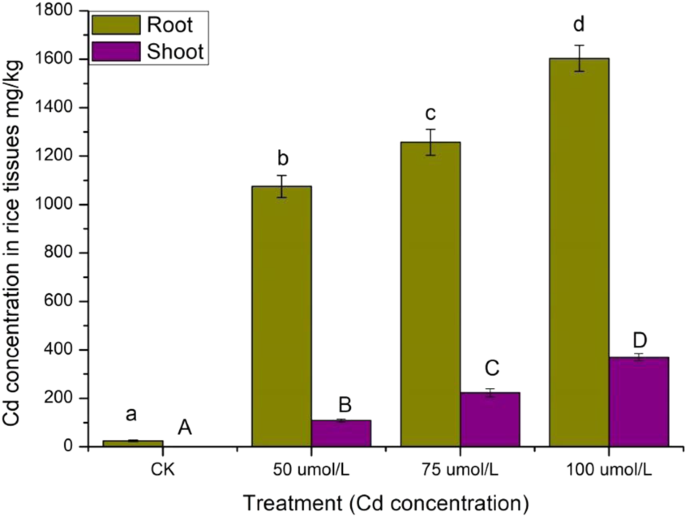 Transcriptome Analysis Of Rice Oryza Sativa L Shoots Responsive To Cadmium Stress Scientific Reports
