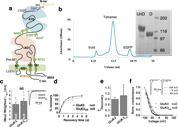 Receptor REDSTICK - Pequeno