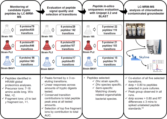 Targeted Detection Of Dehalococcoides Mccartyi Microbial Protein Biomarkers As Indicators Of Reductive Dechlorination Activity In Contaminated Groundwater Scientific Reports