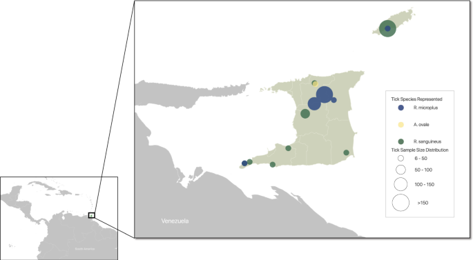 Brown Dog Gis Map Viral Diversity Of Tick Species Parasitizing Cattle And Dogs In Trinidad  And Tobago | Scientific Reports