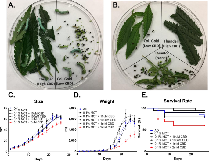remedy cbd flower 3 5 grams 14 38