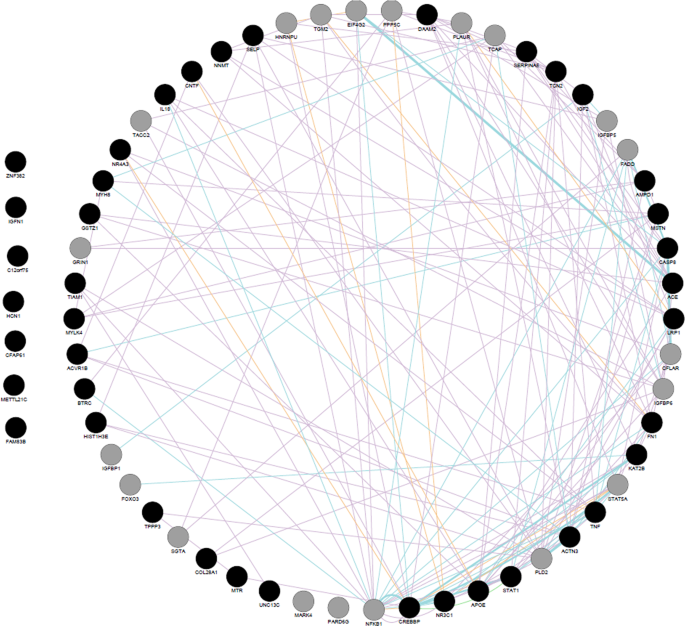 Systems biology and network pharmacology of frailty reveal novel epigenetic targets and mechanisms