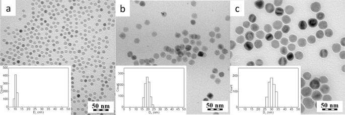 Synthesis and modification of uniform PEG-neridronate-modified magnetic  nanoparticles determines prolonged blood circulation and biodistribution in  a mouse preclinical model | Scientific Reports
