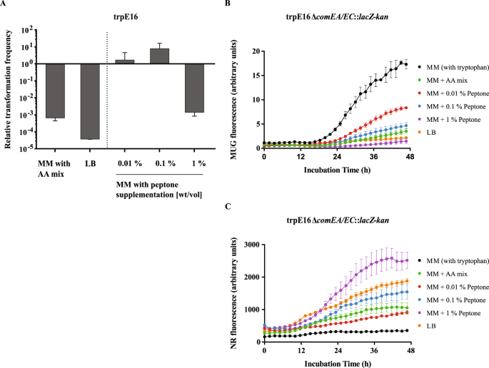 Amino Acids As Nutritional Factors And P Ppgpp As An