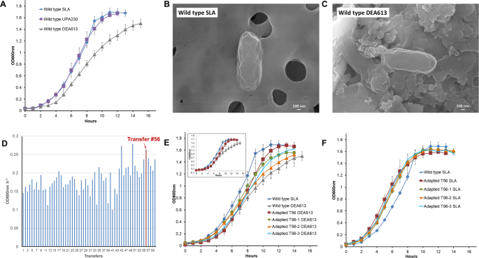 Escherichia Coli Adaptation And Response To Exposure To Heavy Atmospheric Pollution Scientific Reports