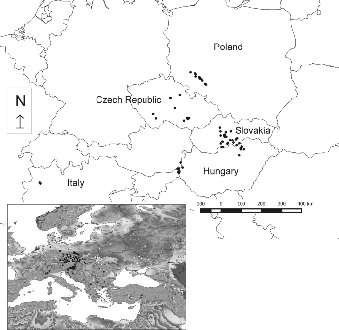Ecology, threats and conservation status of Carex buekii (Cyperaceae) in  Central Europe | Scientific Reports