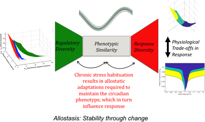 Cycle Syncing: Synching Your Health and Your Menstrual Cycle - Dr Becky  Campbell