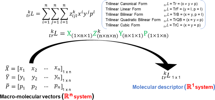 Tensor Algebra Based Geometrical 3d Biomacro Molecular Descriptors For Protein Research Theory Applications And Comparison With Other Methods Scientific Reports