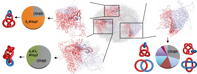 Defining And Detecting Links In Chromosomes Scientific Reports