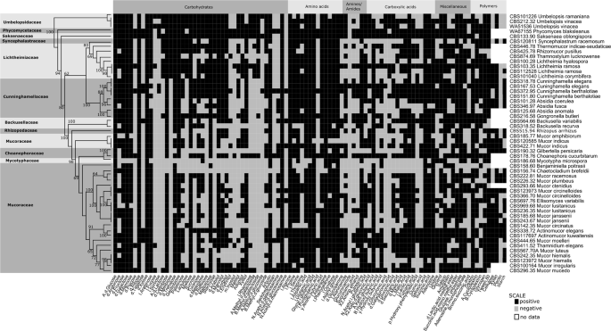 feature-image