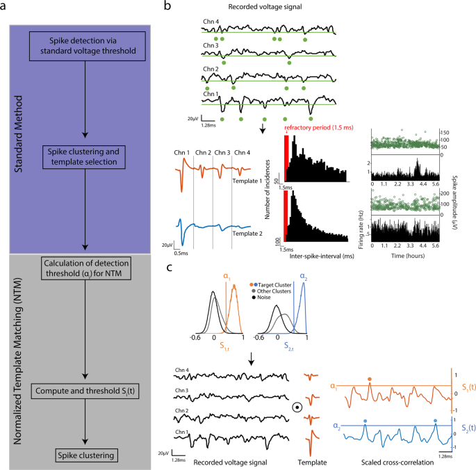 A normalized template matching method for improving spike detection in extracellular voltage recordings