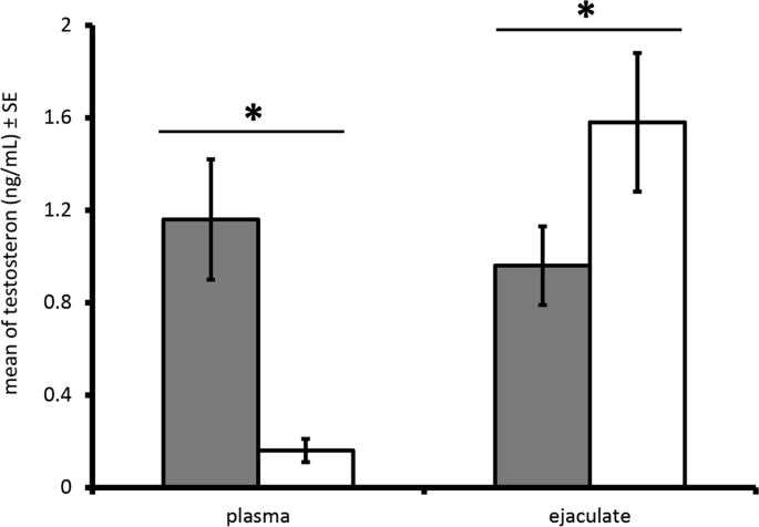 Happens testosterone ejaculate you what to when Semen retention: