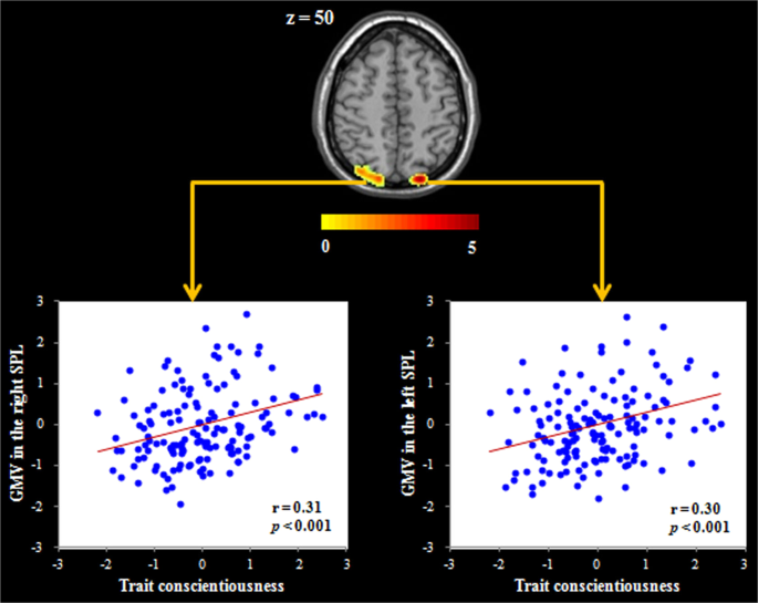 Empirical correlates for Personality Assessment Inventory clinical