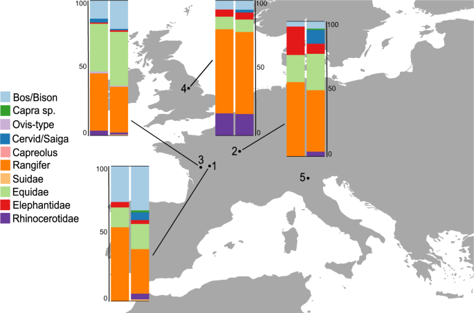 Combining Zooms And Zooarchaeology To Study Late Pleistocene Hominin Behaviour At Fumane Italy Scientific Reports