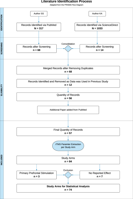 Rtms parameters in tinnitus trials: a systematic review