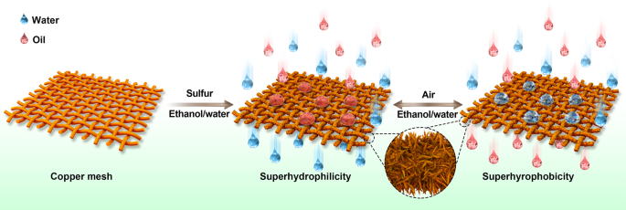 Reversibly switching water droplets wettability on hierarchical 