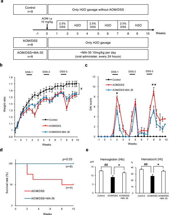 The Indole Compound Ma 35 Attenuates Tumorigenesis In An Inflammation Induced Colon Cancer Model Scientific Reports The Indole Compound Ma 35 Attenuates Tumorigenesis In An Inflammation Induced Colon Cancer Model Scientific Reports