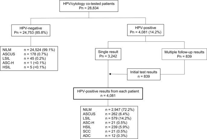 hpv positive means