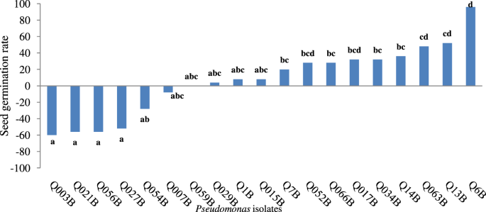 Applications Of New Rhizobacteria Pseudomonas Isolates In Agroecology Via Fundamental Processes Complementing Plant Growth Scientific Reports