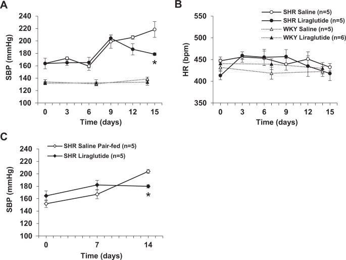 how to maximize glp 1 weight loss GLP-1 receptor agonists
