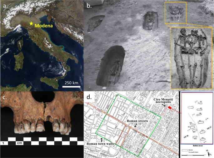 Enamel Peptides Reveal The Sex Of The Late Antique Lovers Of Modena Scientific Reports