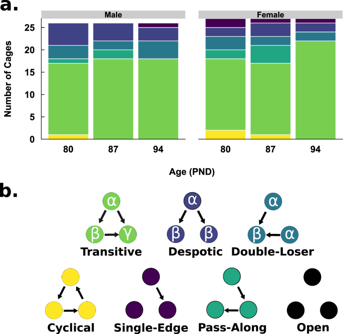 Social dominance hierarchy type and rank contribute to phenotypic variation  within cages of laboratory mice | Scientific Reports