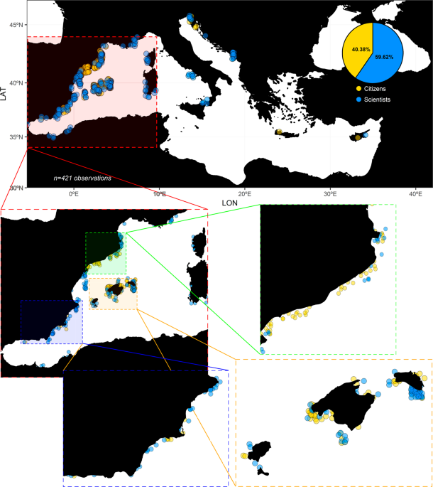 Tracking A Mass Mortality Outbreak Of Pen Shell Pinna Nobilis Populations A Collaborative Effort Of Scientists And Citizens Scientific Reports