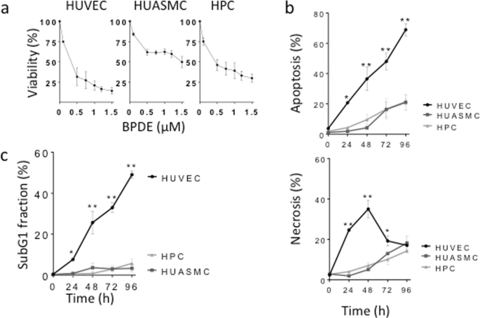 Human Primary Endothelial Cells Are Impaired In Nucleotide Excision Repair And Sensitive To Benzo A Pyrene Compared With Smooth Muscle Cells And Pericytes Scientific Reports