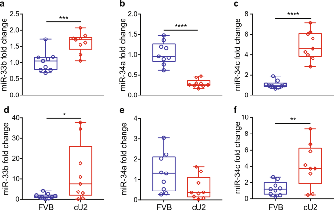 Over-expression of miR-34c leads to early-life visceral fat accumulation  and insulin resistance