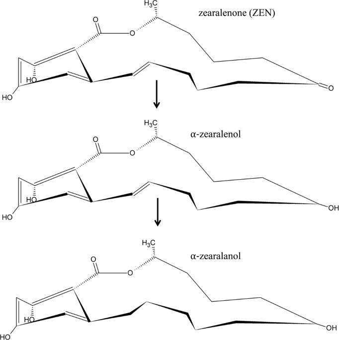 Manganese Protects Wheat From The Mycotoxin Zearalenone And Its Derivatives Scientific Reports