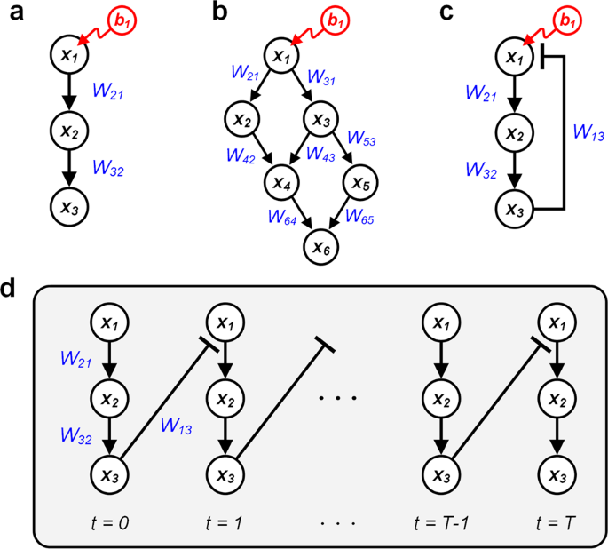 Signal Flow Control Of Complex Signaling Networks Scientific Reports