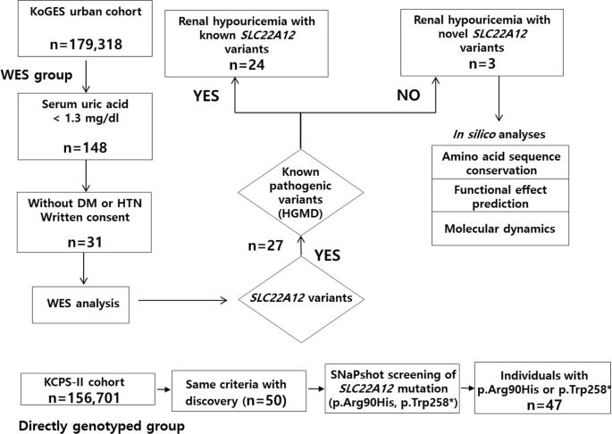 Contribution of slc22a12 on hypouricemia and its clinical significance for screening purposes