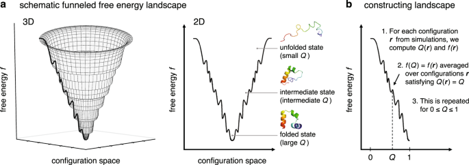 Folding Free Energy Landscape of Ordered and Intrinsically Disordered  Proteins | Scientific Reports