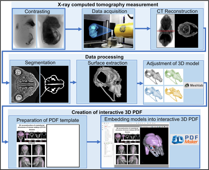 The First Dynamic Micro-CT System to Deliver Sub-Micron 3D Imaging