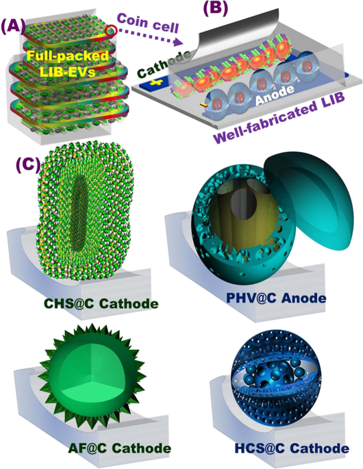 Meso/macroscopically multifunctional surface interfaces, ridges, and vortex-modified anode/cathode cuticles as force-driven modulation of high-energy density of lib electric vehicles