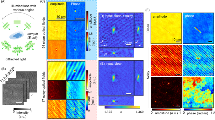 saliency map deep learning
